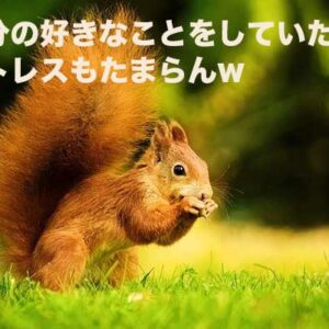 先週の備忘録（09/26〜10/02）