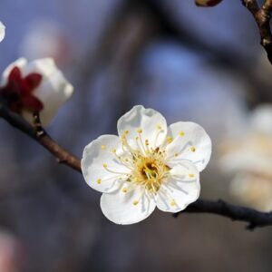 先週の備忘録（02/13〜02/19）