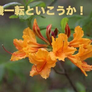 先週の備忘録（05/08〜05/14）