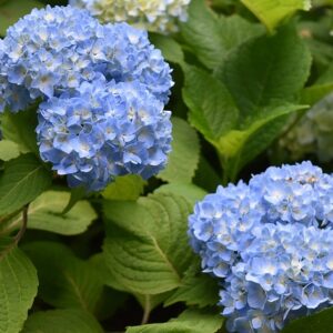 先週の備忘録（05/22〜05/28）