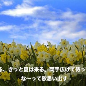 先週の備忘録（06/05〜06/11）