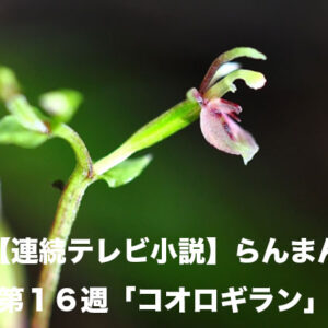 【連続テレビ小説】らんまん　第１６週「コオロギラン」