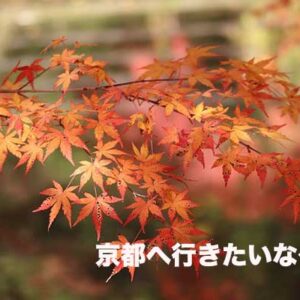 先週の備忘録（10/28〜11/03）