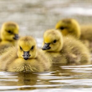 先週の備忘録（10/06〜10/12）