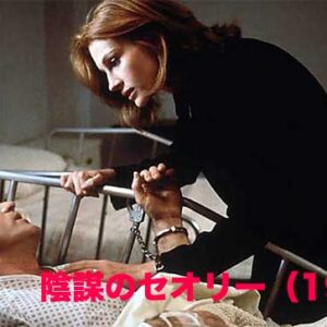 陰謀のセオリー（1997）
