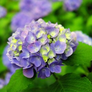先週の備忘録（05/05〜05/11）