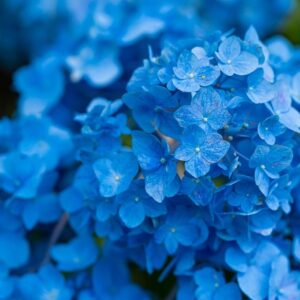 先週の備忘録（05/19〜05/25）