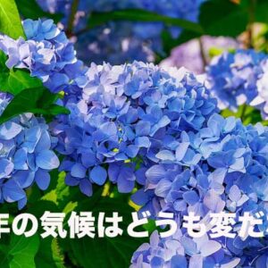 先週の備忘録（06/16〜06/22）