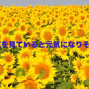 先週の備忘録（07/14〜07/20）