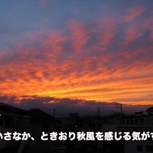 先週の備忘録（08/25〜08/31）