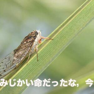 先週の備忘録（08/18〜08/24）
