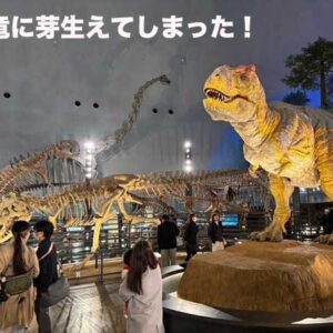 先週の備忘録（11/17〜11/23）